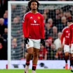 Alasan Ruben Amorim Cepat Menarik Joshua Zirkzee